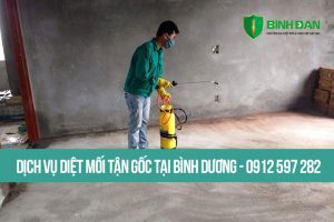 Dịch vụ diệt mối - Công Ty TNHH Thương Mại Và Dịch Vụ Bình Đan